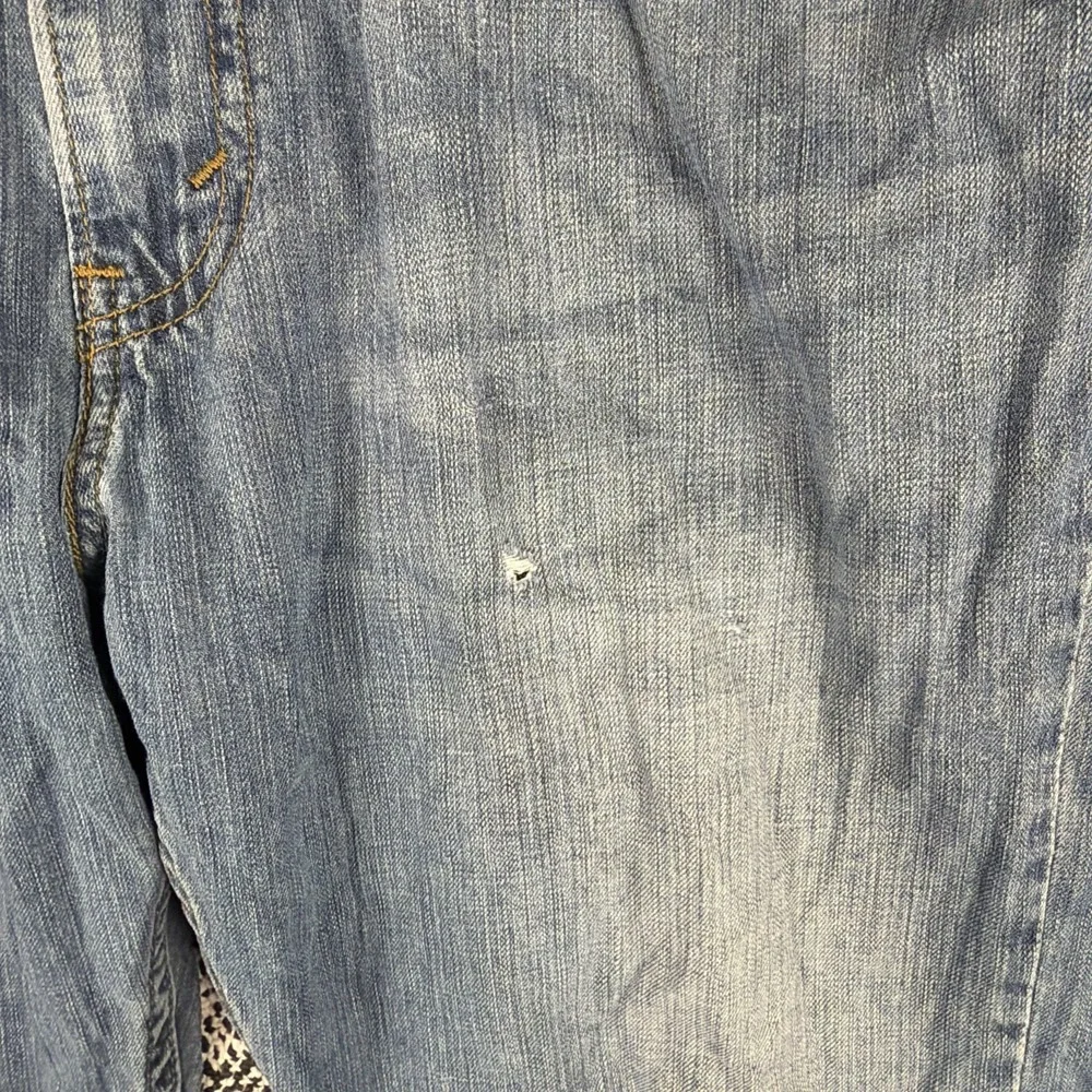 Levis levis 527